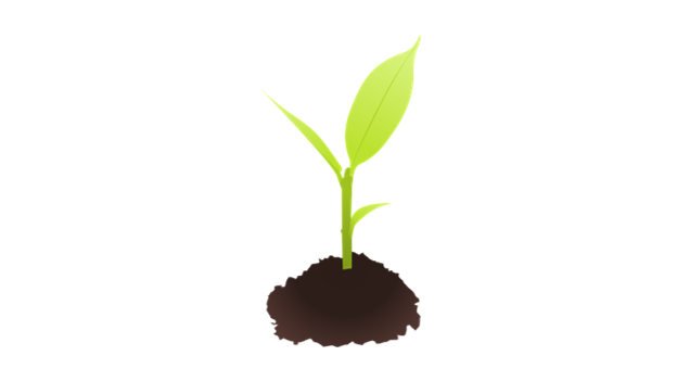 Read more about the article ORIGIN OF INPUTS