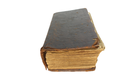 Read more about the article THE GOLDEN RULE