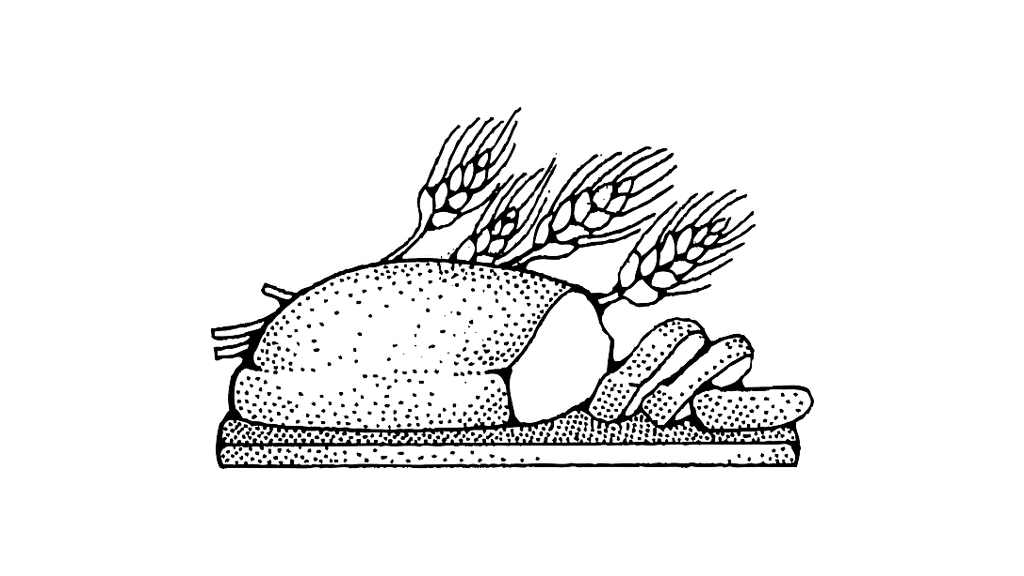 Read more about the article 100% WHOLE WHEAT BREAD